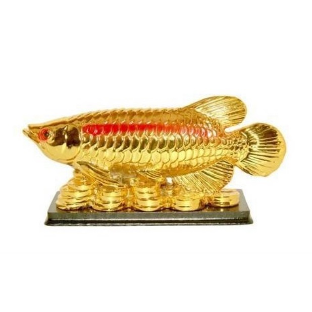 Золотая рыбка по фен-шуй - арована на подставке с золотыми монетами можно купить в интернет-магазине фэн-шуй "Мой Талисман"