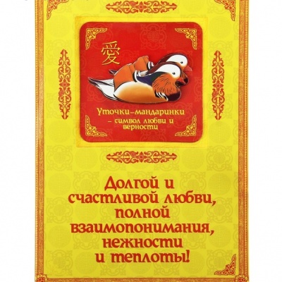 Магнит с открыткой "Уточки - мандаринки"