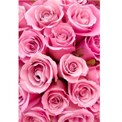 Шикарный букет роз  (картина по номерам)