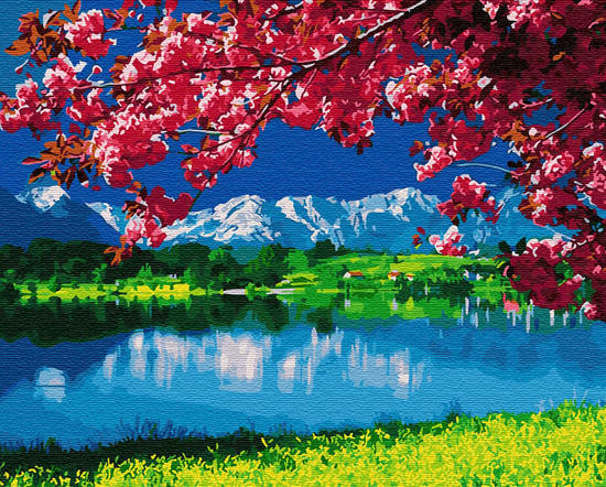 Цветущая сакура  (картина по номерам), которую можно купить в интернет-магазине фэн-шуй "Мой Талисман". Вышивки, картины, сувениры.