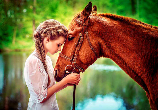 Девушка и лошадь (картина по номерам), которую можно купить в интернет-магазине фэн-шуй "Мой Талисман" | Вышивки, картины, сувениры.
